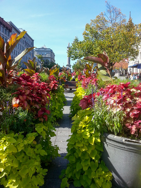 Montreal, Quebec, Canada